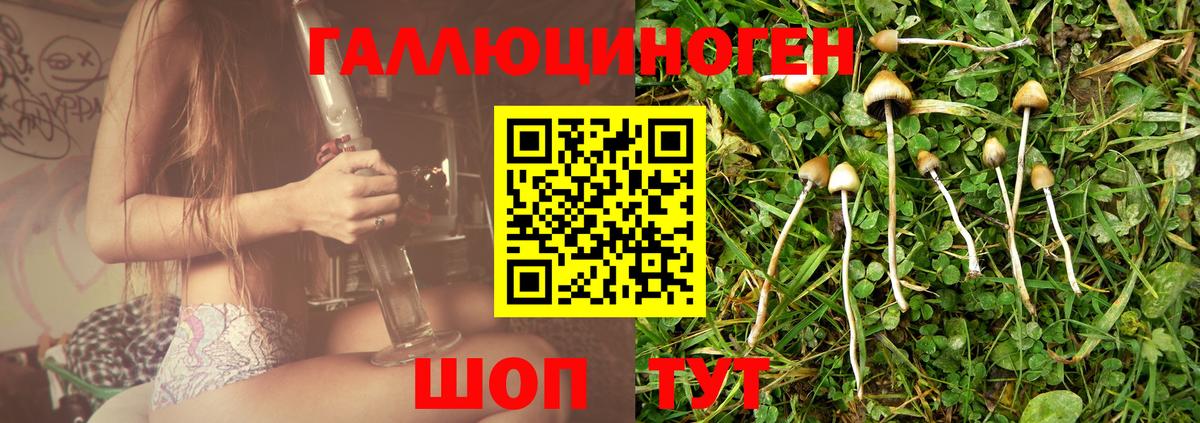Галлюциногенные грибы Psilocybine cubensis Орёл