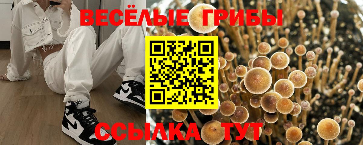 Галлюциногенные грибы Magic Shrooms  Вход с VPN  Орёл  Псилоцибиновые грибы Psilocybine cubensis 